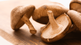 Shiitake grzyby